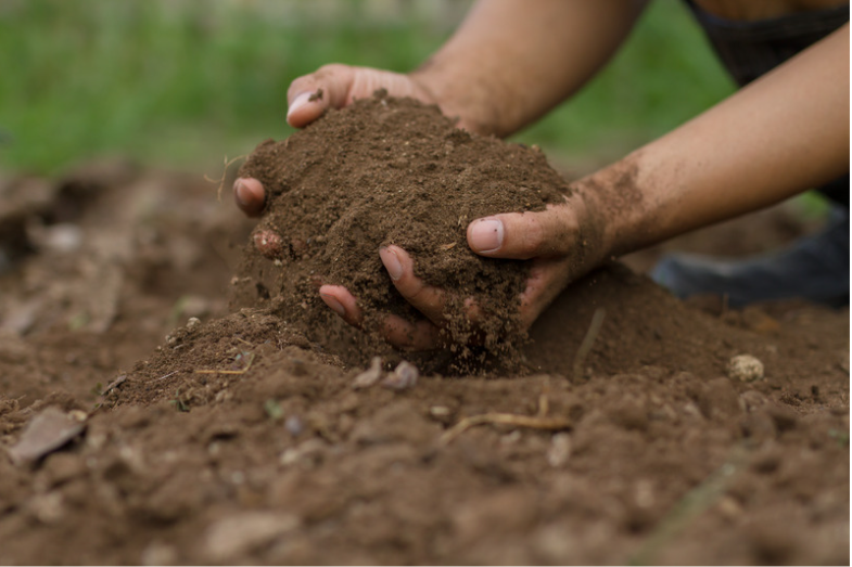 Water content of soil | Determine soil moisture content