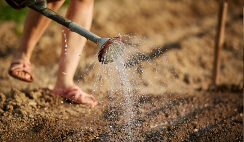 Measure soil moisture to determine soil moisture content. This can be done using an instrument used to measure soil moisture.